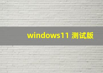 windows11 测试版